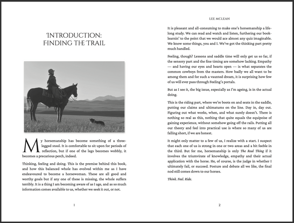 'Think. Feel. Ride.' by Lee McLean (Pre-Order)