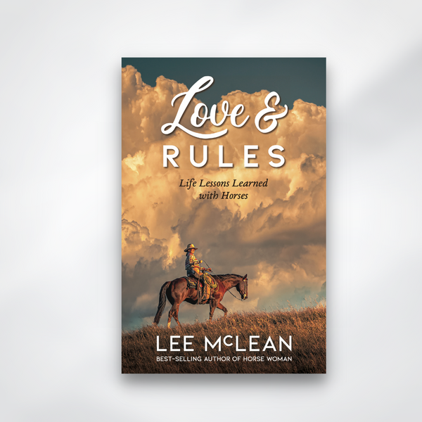 Book called 'Love & Rules' by Lee McLean, front cover on white background